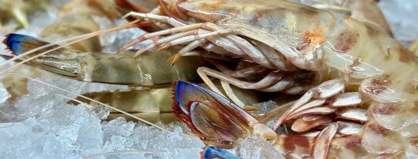 Restaurantes de Mariscos en Sevilla