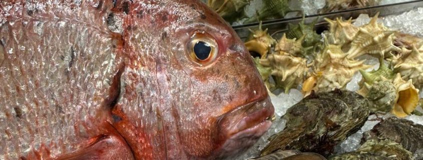 Donde Comer Pescado en Sevilla